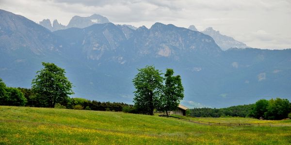 Wiesen und Wälder am Ritten